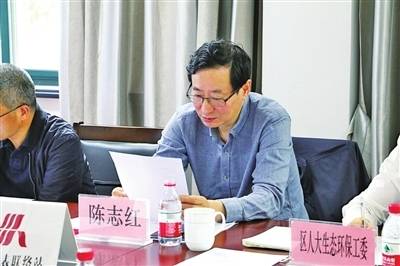 陈志红在九龙湖镇参加“主任接待代表日”活动包志安认真听取记录，不时