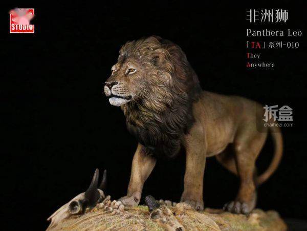 涅盤工作室ta第010彈終章非洲獅原型師貓科動物仿真模型