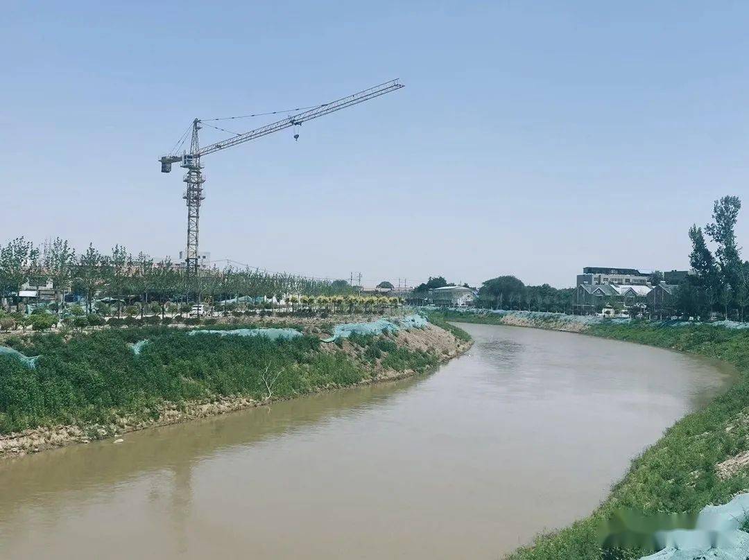 最新消息曲周滏阳河堤筑新路