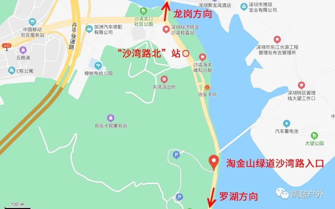 活动招募与你相约淘金山绿道一起寻觅林间精灵