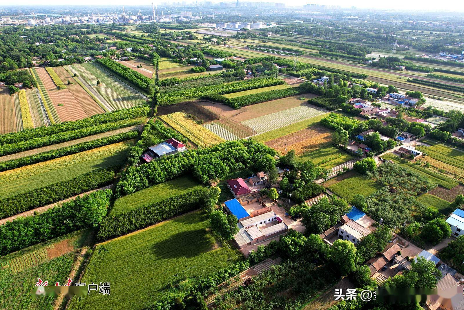 西峰董志镇土地规划图片