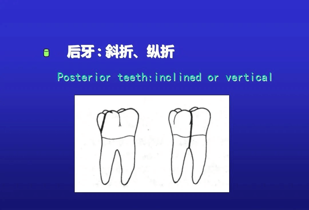 牙折的病因及治疗方法