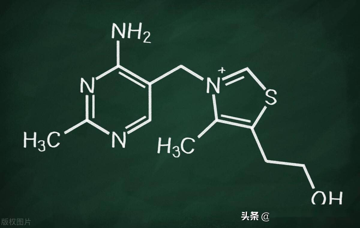 人体物质的重要辅酶,其对于脂质和蛋白质的合成和分解具有重要作用,而