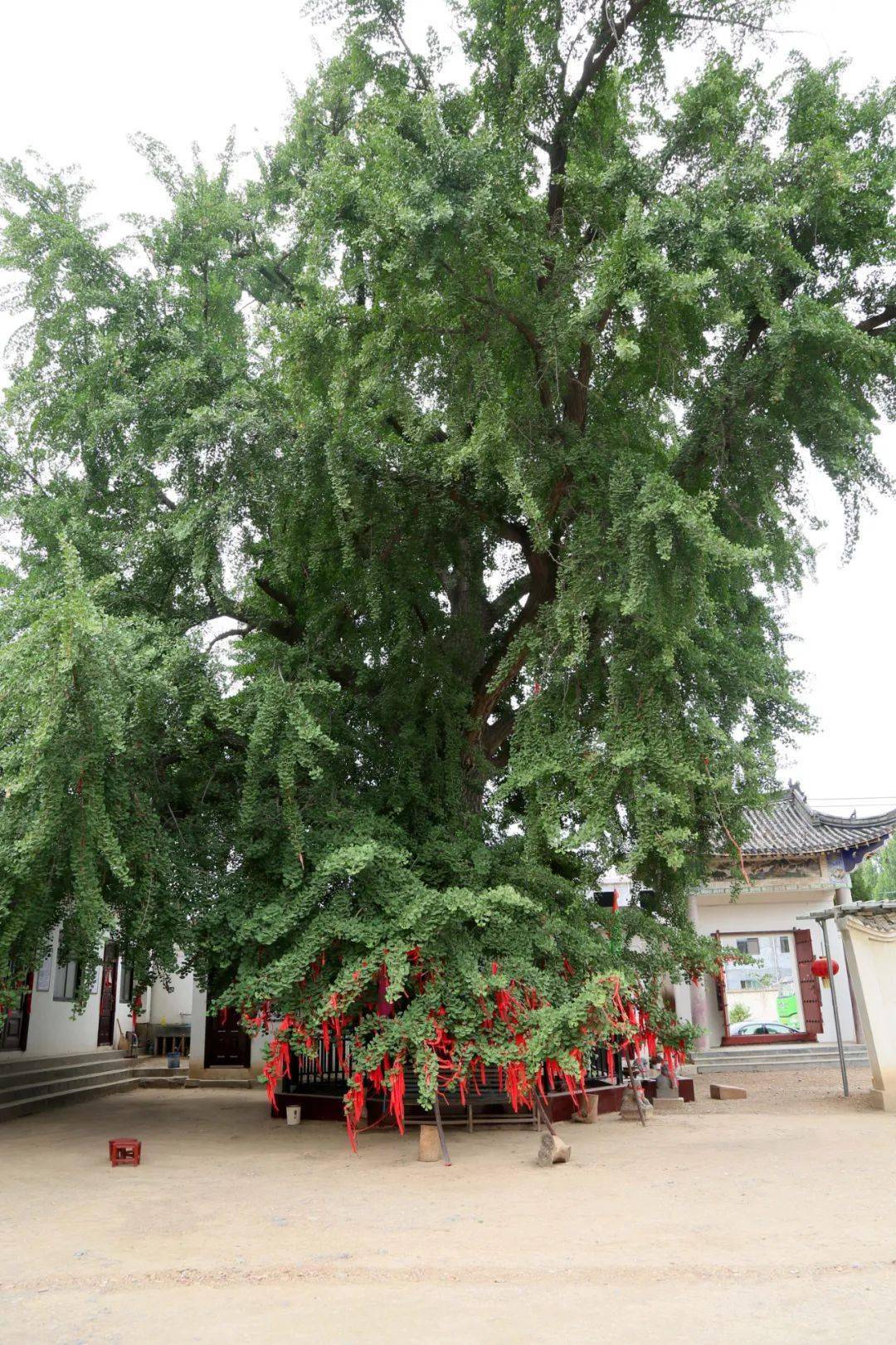 走进乡村看振兴云梦村鬼谷故里展新颜