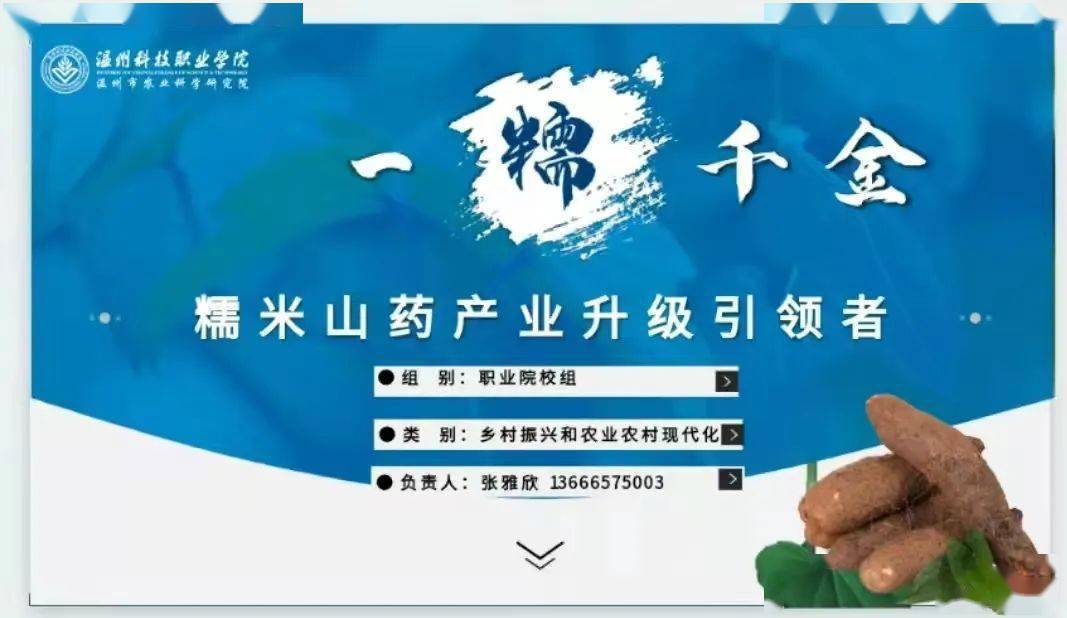 1金2银3铜!_项目_资源化_浙江省