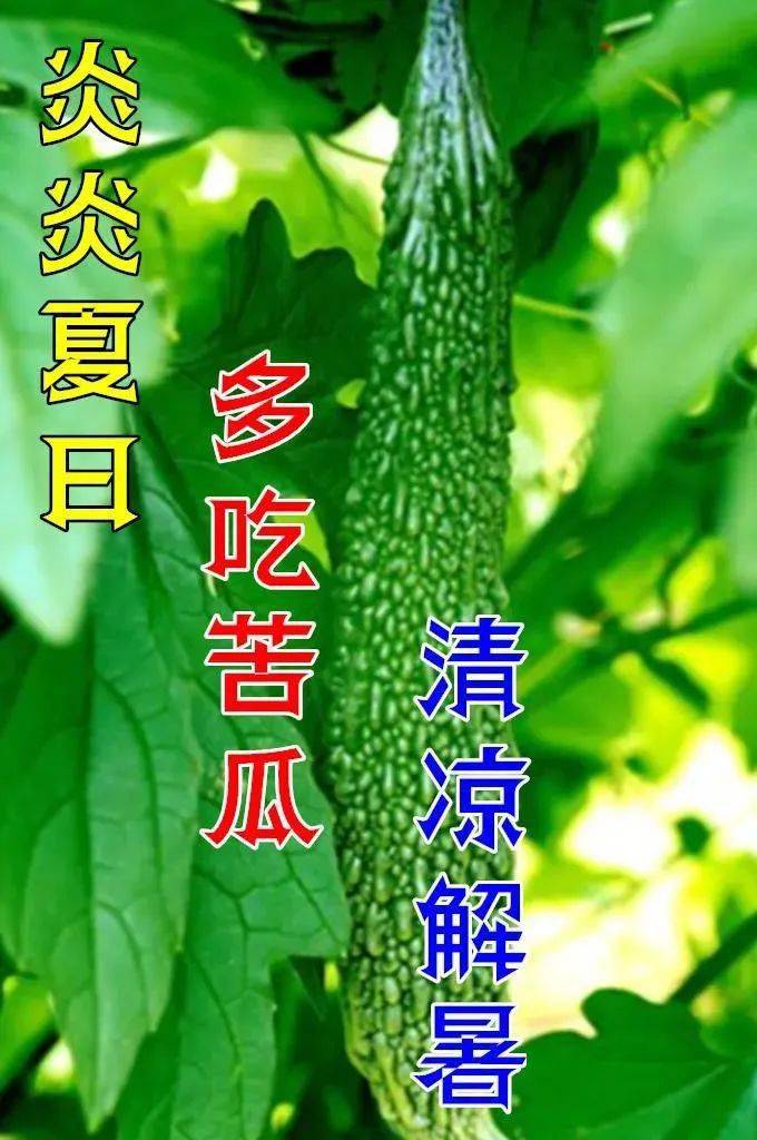 8张夏季防暑最新早安问候动态表情图片夏天多喝水天热问候图片带字
