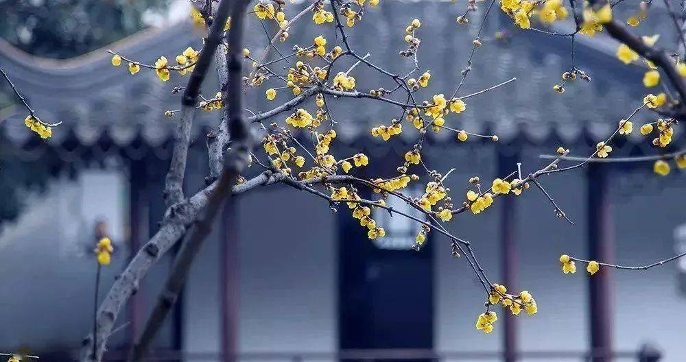 我家竟有家徽.我们家的家徽是一条鱼,一条画在门板上的鱼.