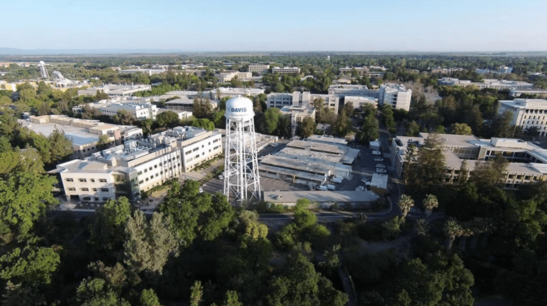 名校探秘一加州大学戴维斯分校学习骑马放牧的乡村大学