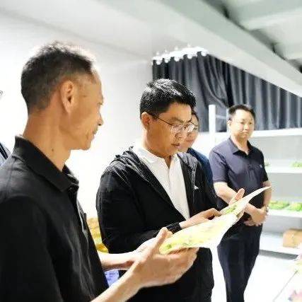 关于杉树、碗厂竹产业!县长杨绪春这样说!_发展_调研_沙河村