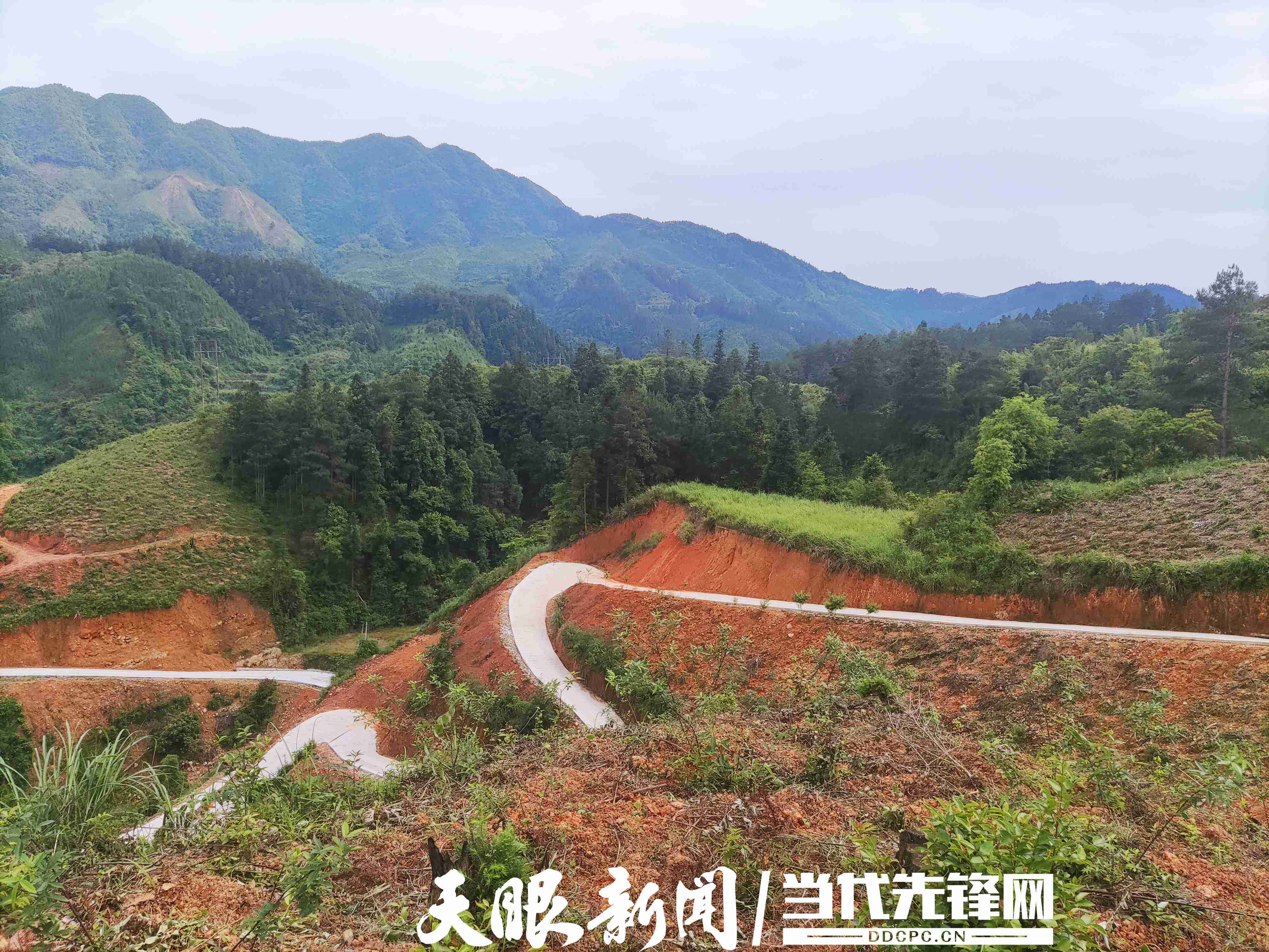 锦屏大同乡产业路铺就乡村振兴快车道