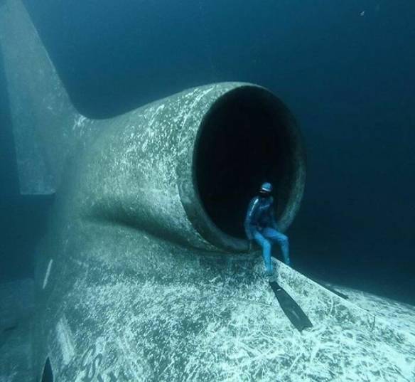 深海巨物恐惧症 佛像图片