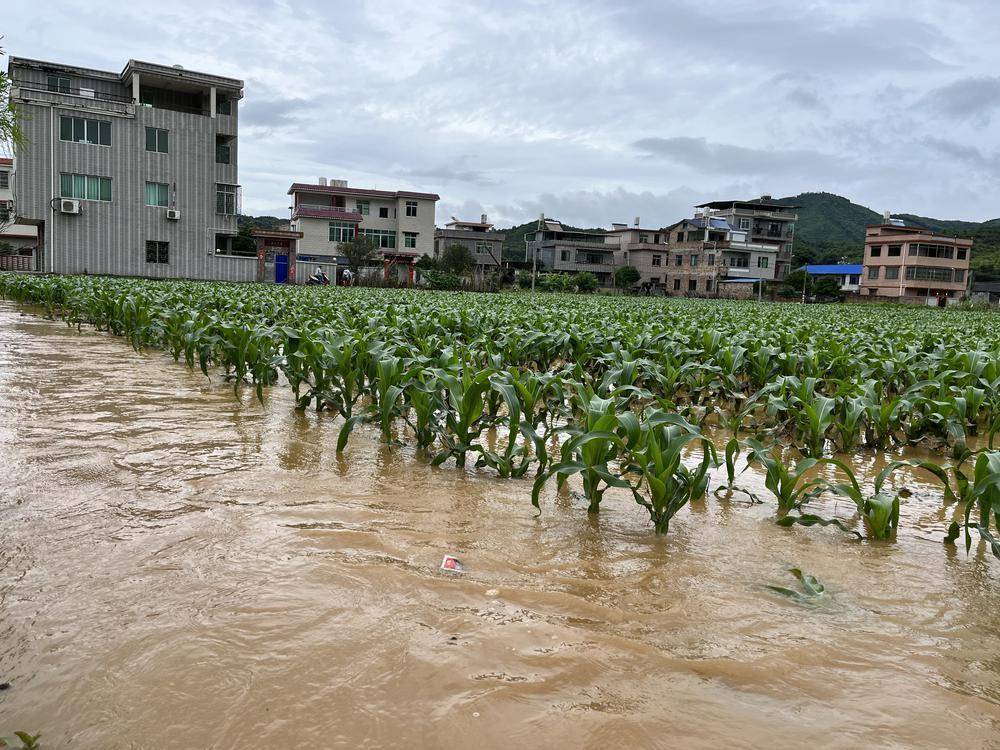 降雨,导致始兴县司前镇,隘子镇,深渡水瑶族乡等部分乡镇出现洪水,农田