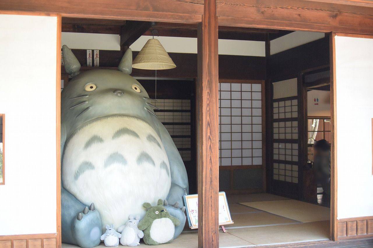 日本埼玉县所泽市发起众筹,保护《龙猫》绿地_宫崎骏_吉卜力工作室