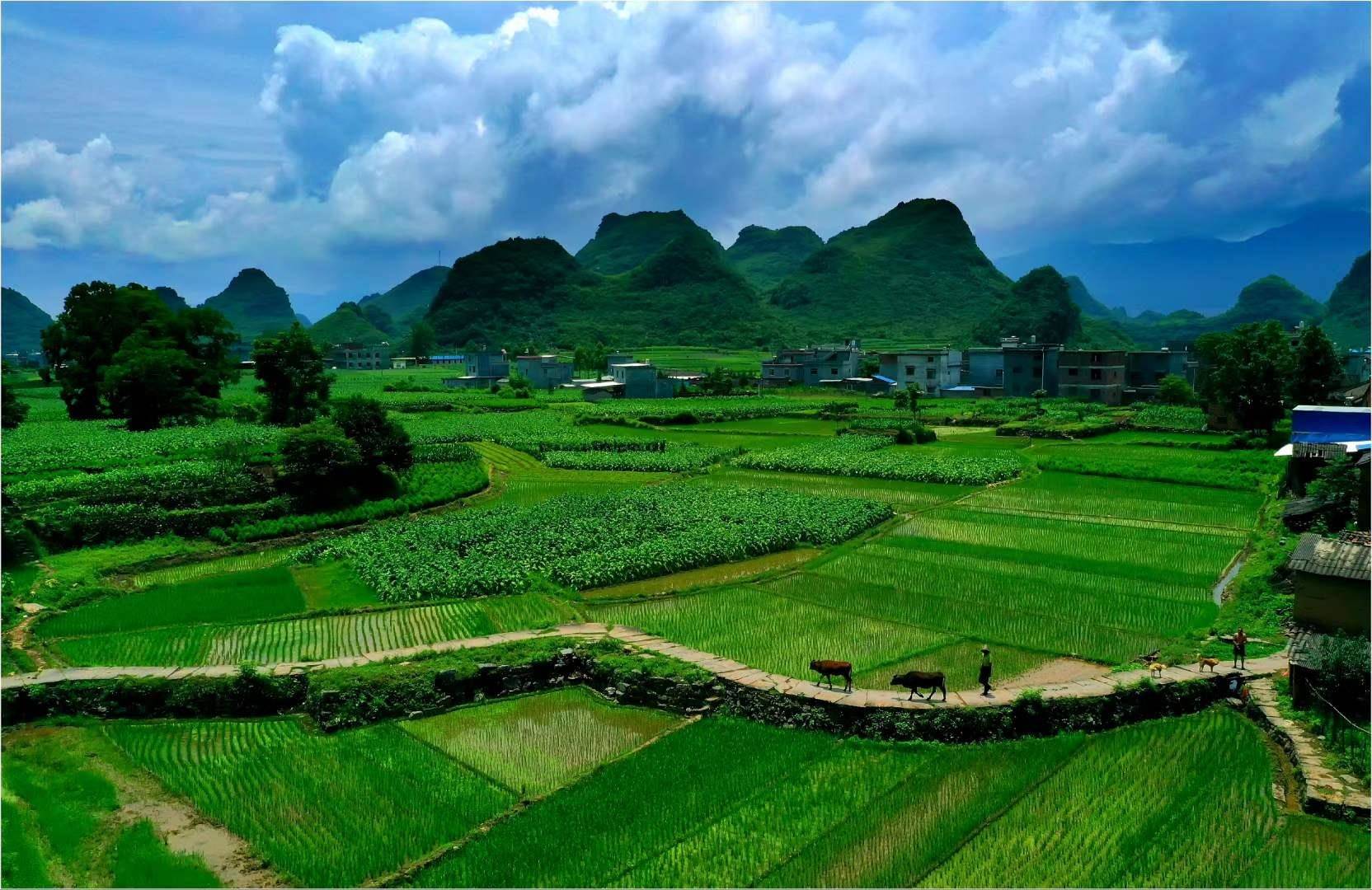 家乡风景图田园图片