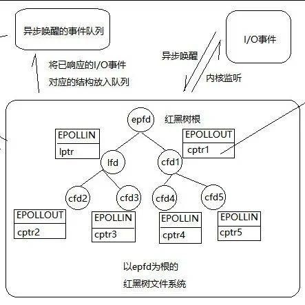 Linux 高性能服务 epoll 的本质，真的不简单_struct_事件_epfd