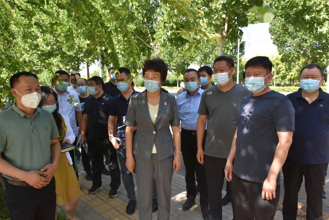 商黎英调研省市重点项目_建设_邢台_河北