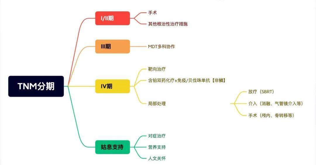 肺癌治疗内容太多这6张思维导图帮你搞定