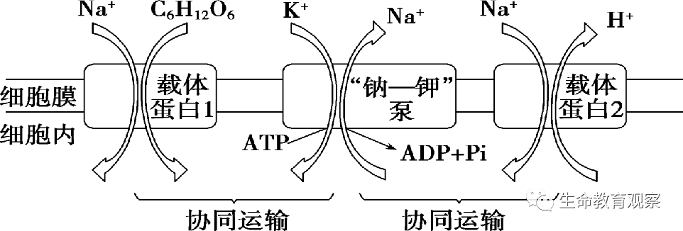 热考主题链接高校教材