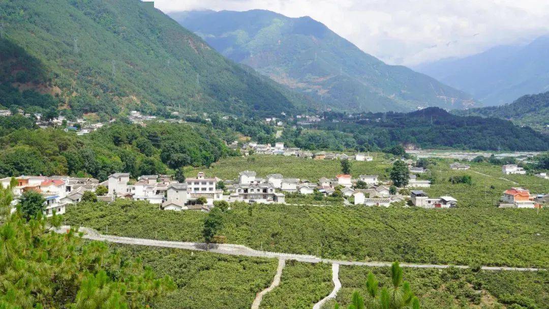 初夏时节,站在德昌县乐跃镇高丰村的观景平台上,耳畔松涛阵阵,抬眼