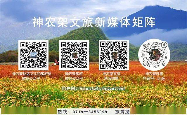 林区文化和旅游局官方抖音：神农架旅游门户网：神农架林区文化和旅游局