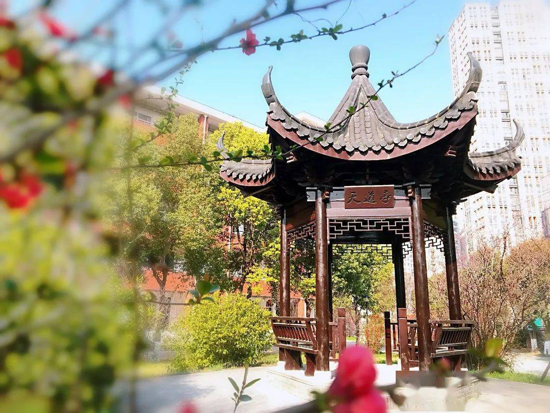 家门口的学校更精彩 | @常州市勤业中学_校园_建设_发展