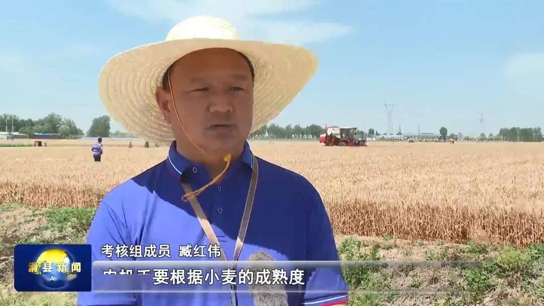 滑县181.2万亩小麦以机收减损促颗粒归仓_比赛_损耗_万古镇