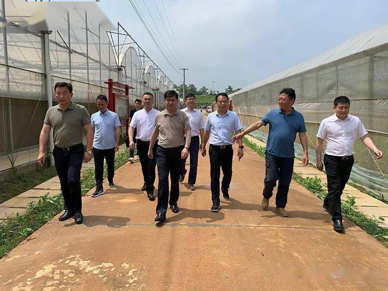 帕塔尔·胡加买提调研退捕渔民转产就业情况_余干县_瑞洪镇_企业