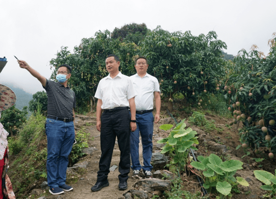 在迤萨镇调研6月6日,县委书记陈勇宏到甲寅镇,迤萨镇调研低收入脱贫