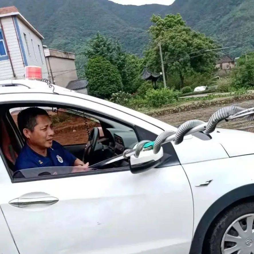 象山一村民家中一前一后出现两条眼镜蛇..._杨兴凯_茅洋乡_毒蛇