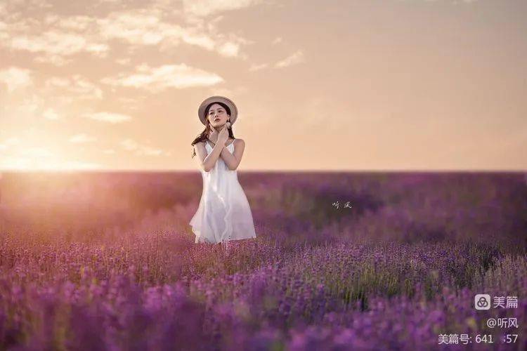 人像摄影紫色薰衣草
