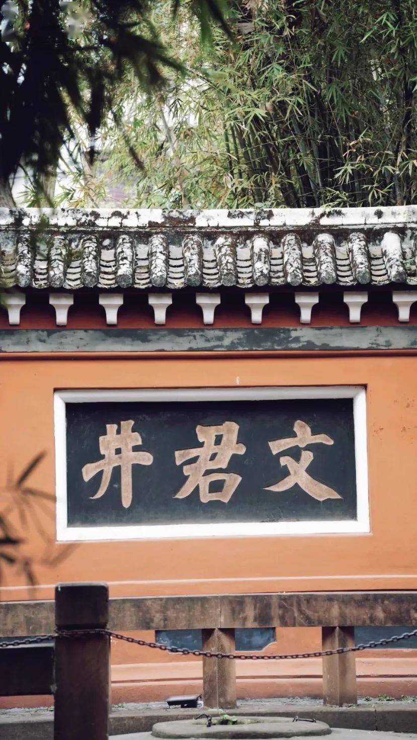 高考作文有沁芳亭邛崃有