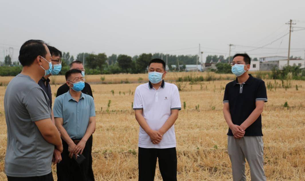 淇滨区区长闫浩调研"夏收",重点项目建设等工作_农机_聂下务_金山街道