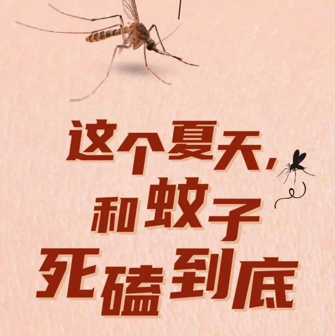 【昆蟲冷知識】為何蚊咬這樣痕 - Beginneros | 網上學習平台