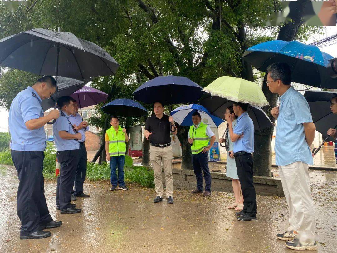 领导调研北流市副市长钟伟新到北流公路辖区路段调研指导公路安全设施