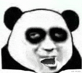 惊吓熊猫头表情包高清图片