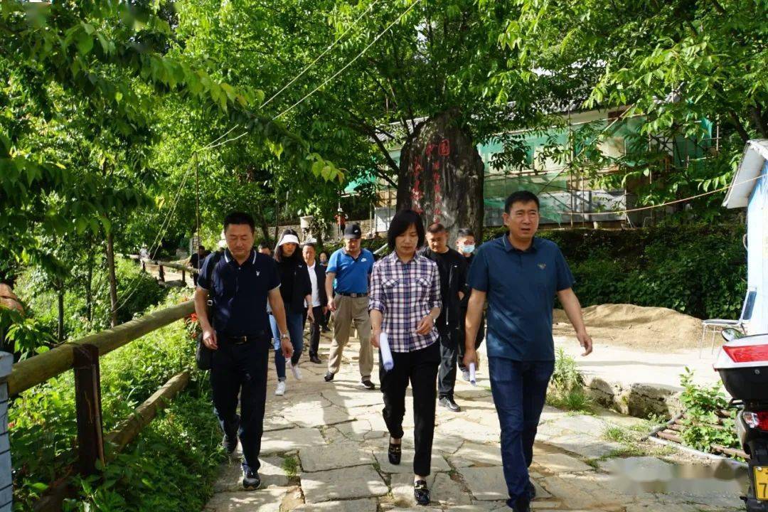 大理市贯彻实施《乡村振兴促进法》执法检查_情况_太和街道_湾桥镇