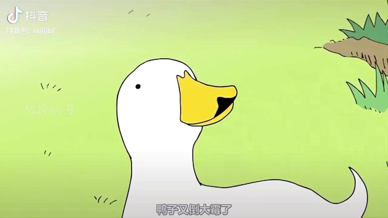 胡子鸭又倒大霉了~柯尔鸭 看最幼稚的动画明白最