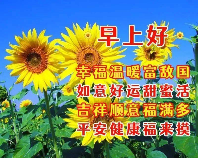 早上好问候语 祝福语图片