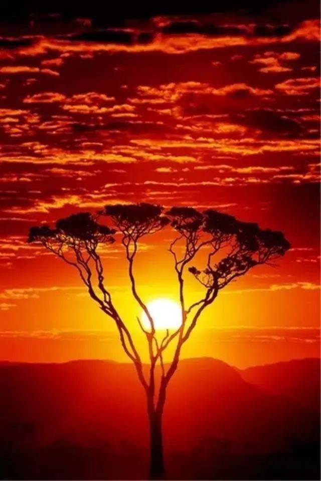 最漂亮早上好动态表情图片及动图美图大全风景无限好何惧近黄昏