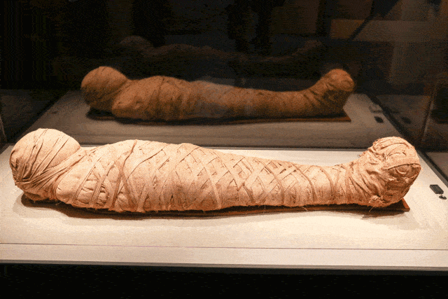 古埃及木乃伊何以成为欧洲人的药材