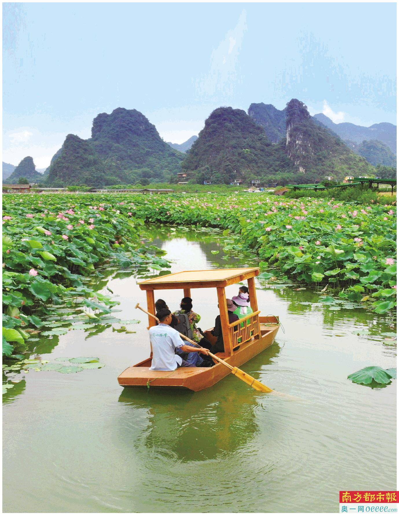 荷花深处小船通_荷塘_英西峰_旅游产品