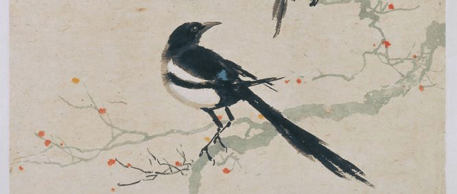 多识于鸟兽草木之名|城市与古画中的鸟儿_故宫博物院_八哥_鹭鸶