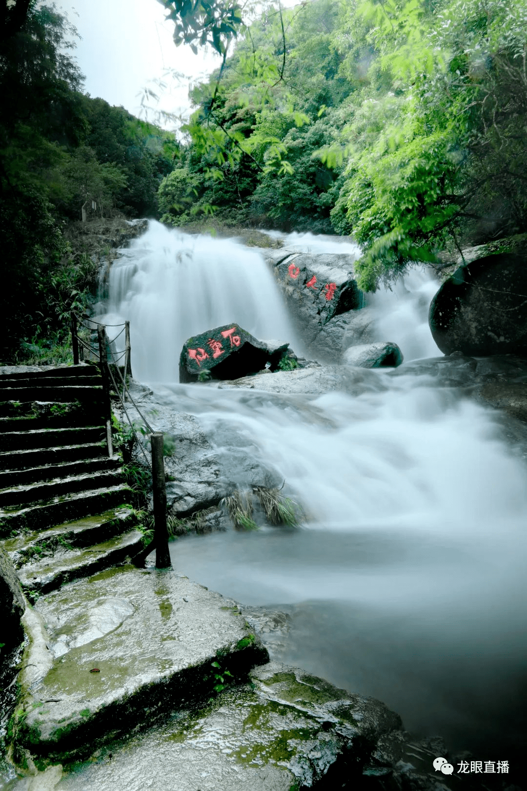 茂名莲花湖风景区图片