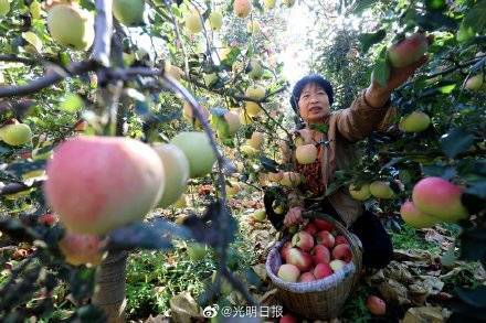 太行革命老区的新面貌