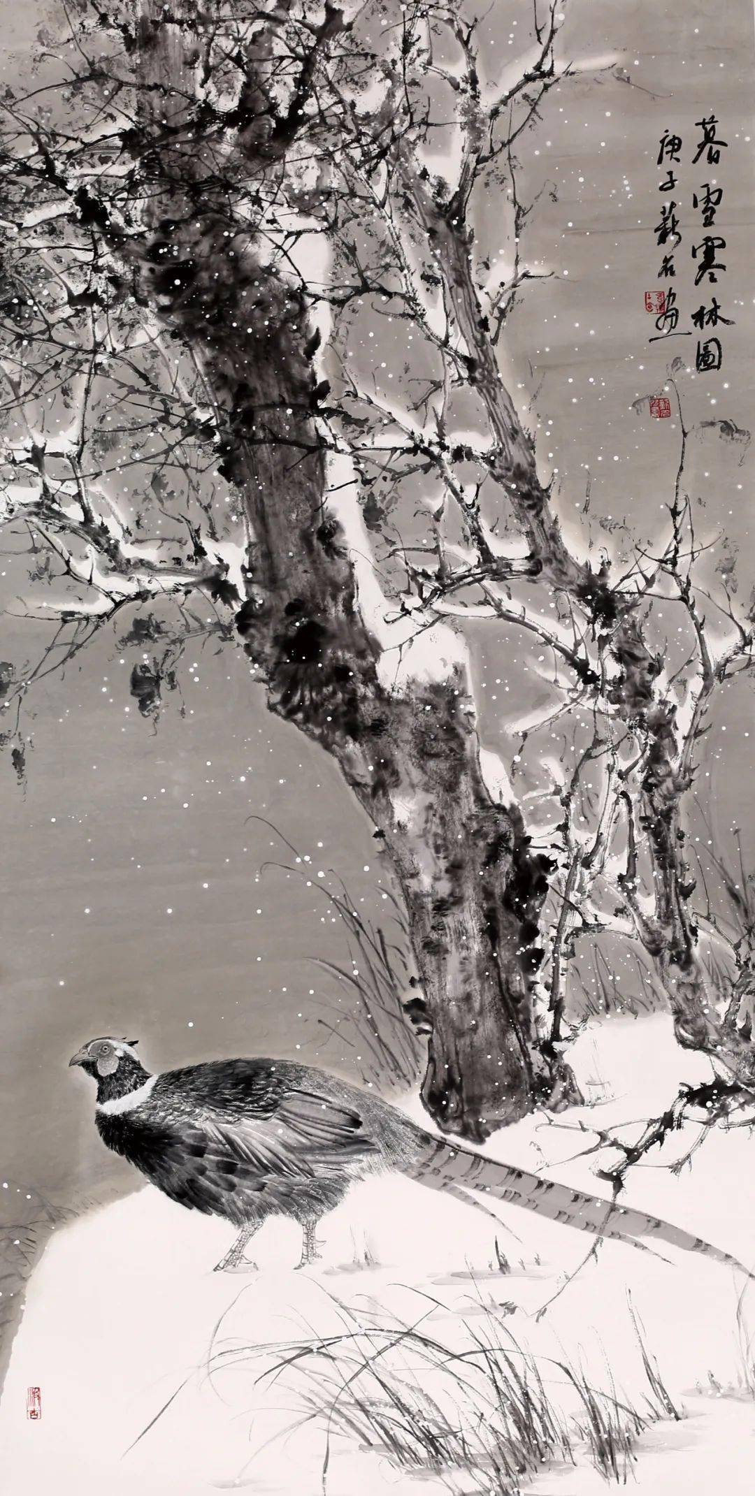 陈薪名.作品