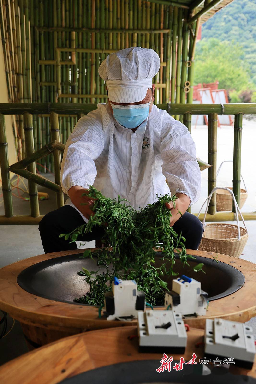 康县传统手工工艺炒制茶叶受青睐