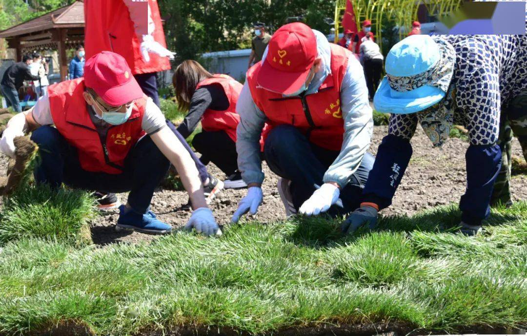 领导张行斌,苑芳江,郑野岩,宋殿宝,高启民,兰知震,张国杰,王素,郭显文