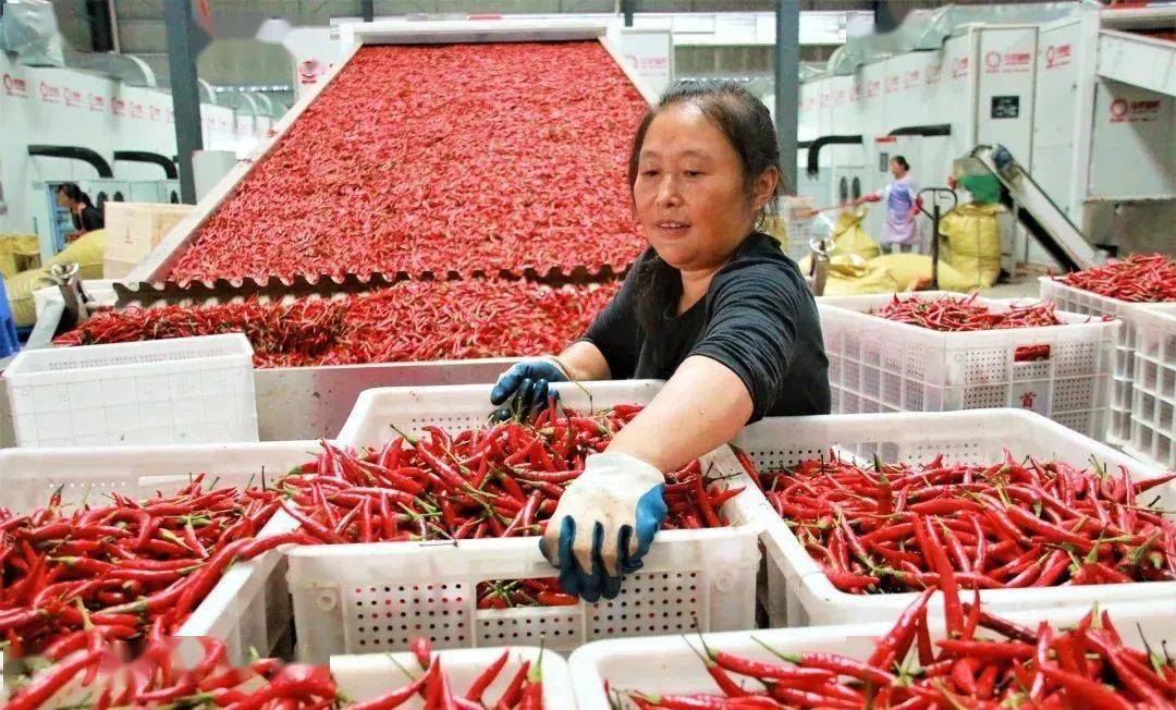 大米加工厂设备布局图_大米工厂的加工设备_大米加工厂设备