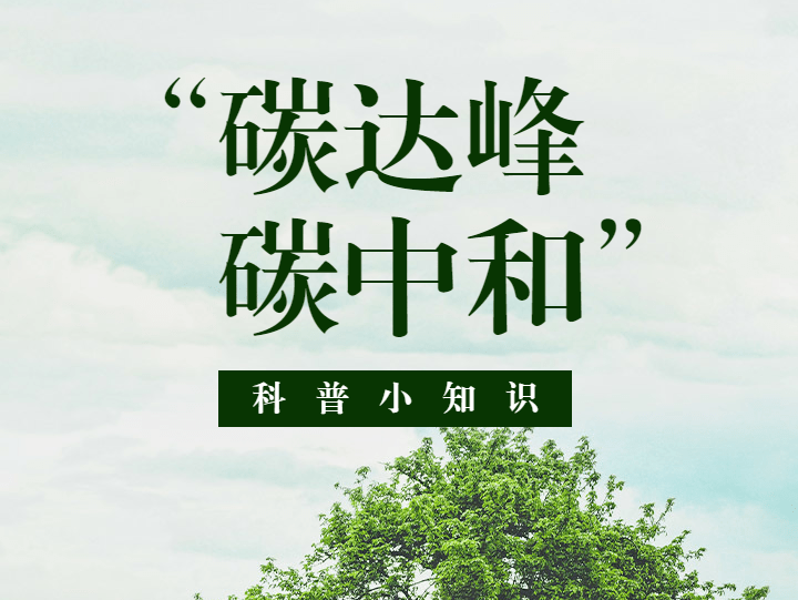 中国宣布将采取更加有力的政策和措施,力争于2030年前二氧化碳
