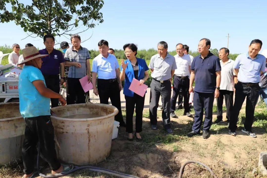 上级调研三门峡市人大执法检查组到我市检查河南省高标准粮田保护条例